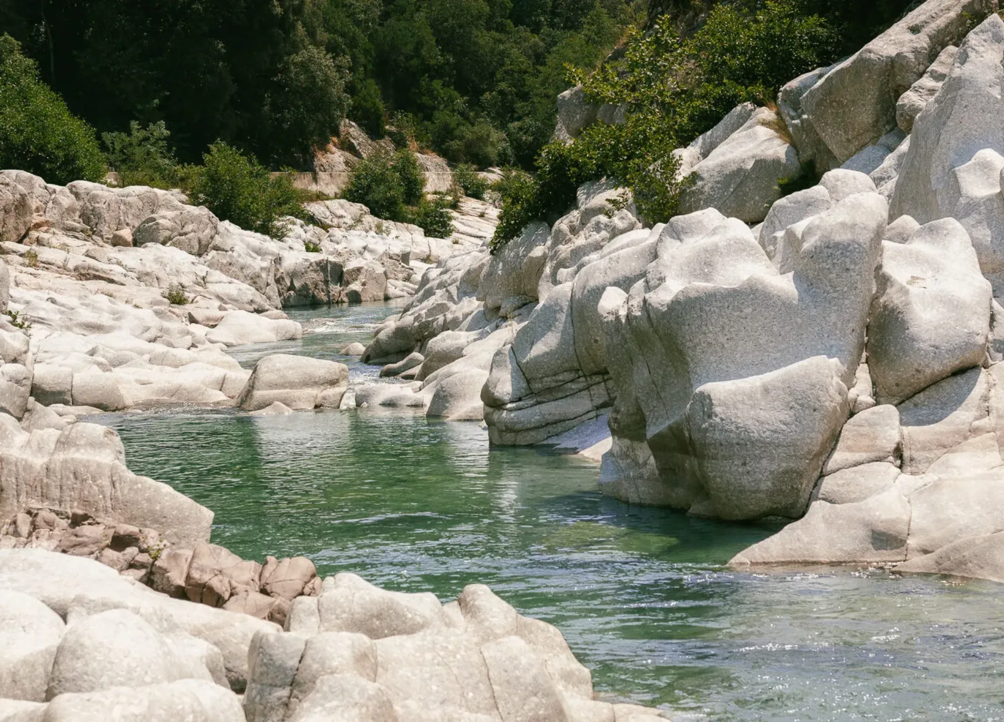 Canyoning in the Cévennes: a nature adventure combining thrills and slow tourism