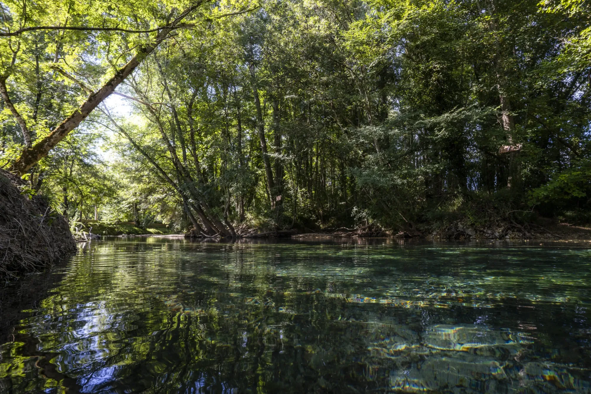 Réserve zoologique de Calviac: nature immersion in the Dordogne