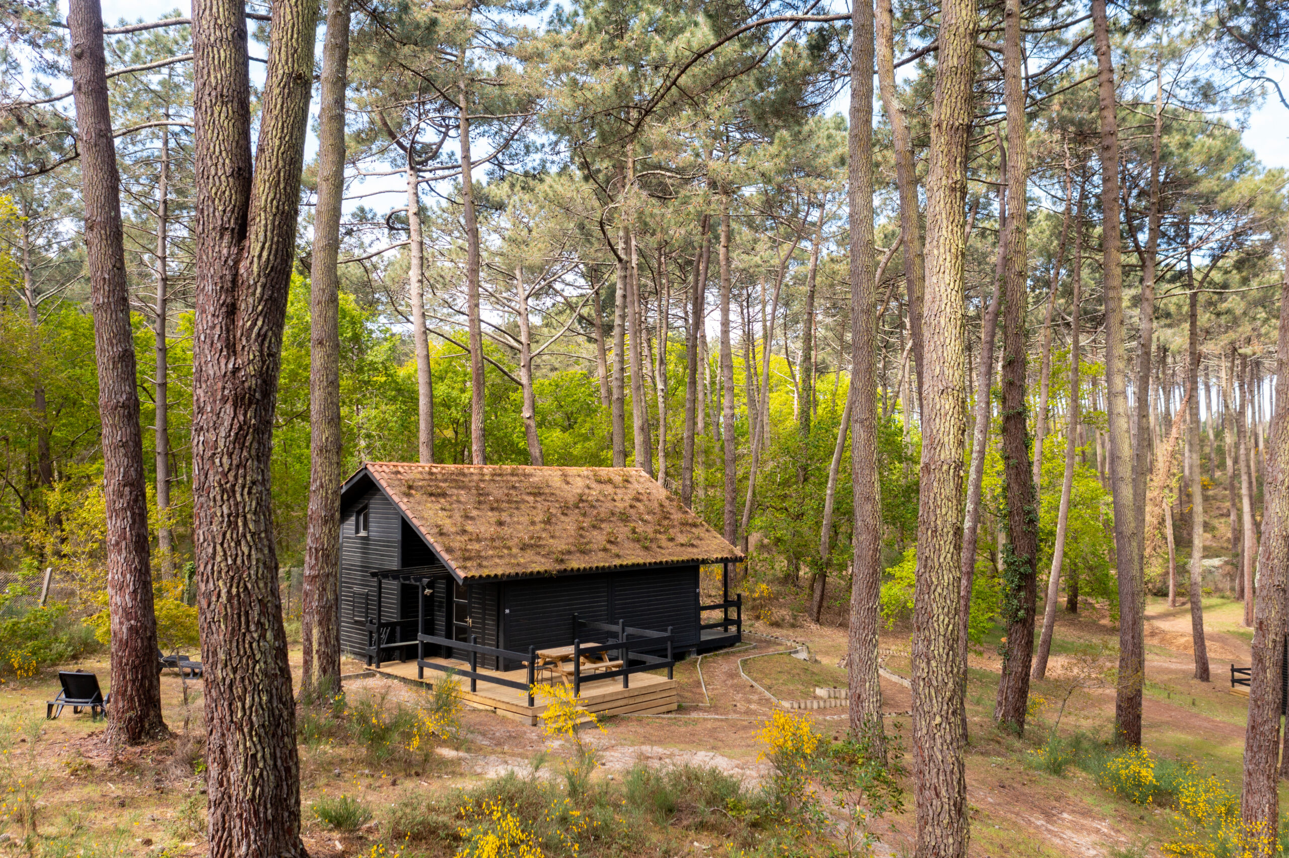 Slow Village Biscarrosse Lac — photo 4