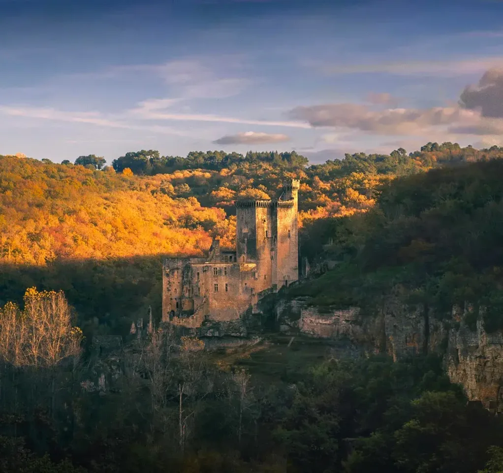 chateau commarque dordogne