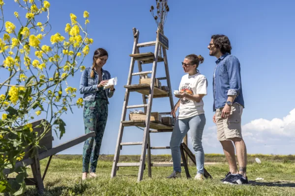 Oesters proeven op het Île de Ré