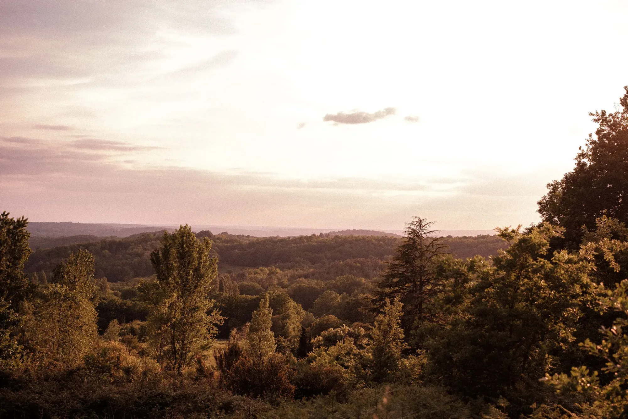Parc du Bournat: sumérjase en un pueblo del Périgord en 1900