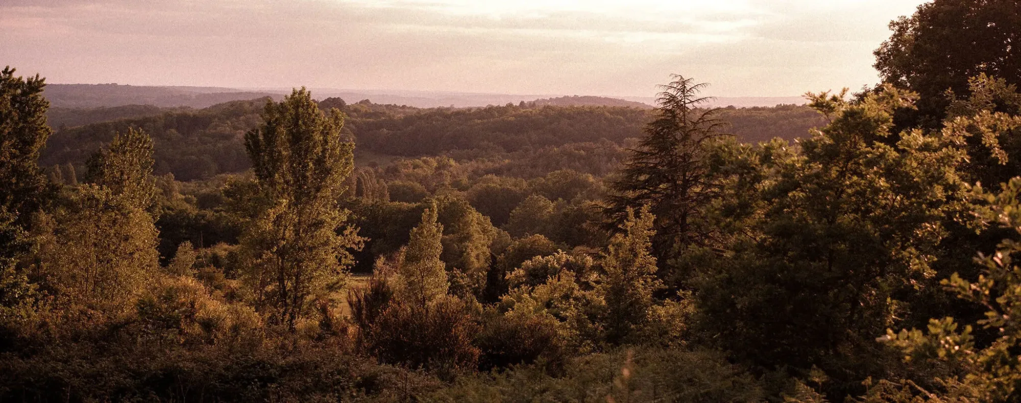 Parc du Bournat: immerse yourself in a Périgord village in 1900