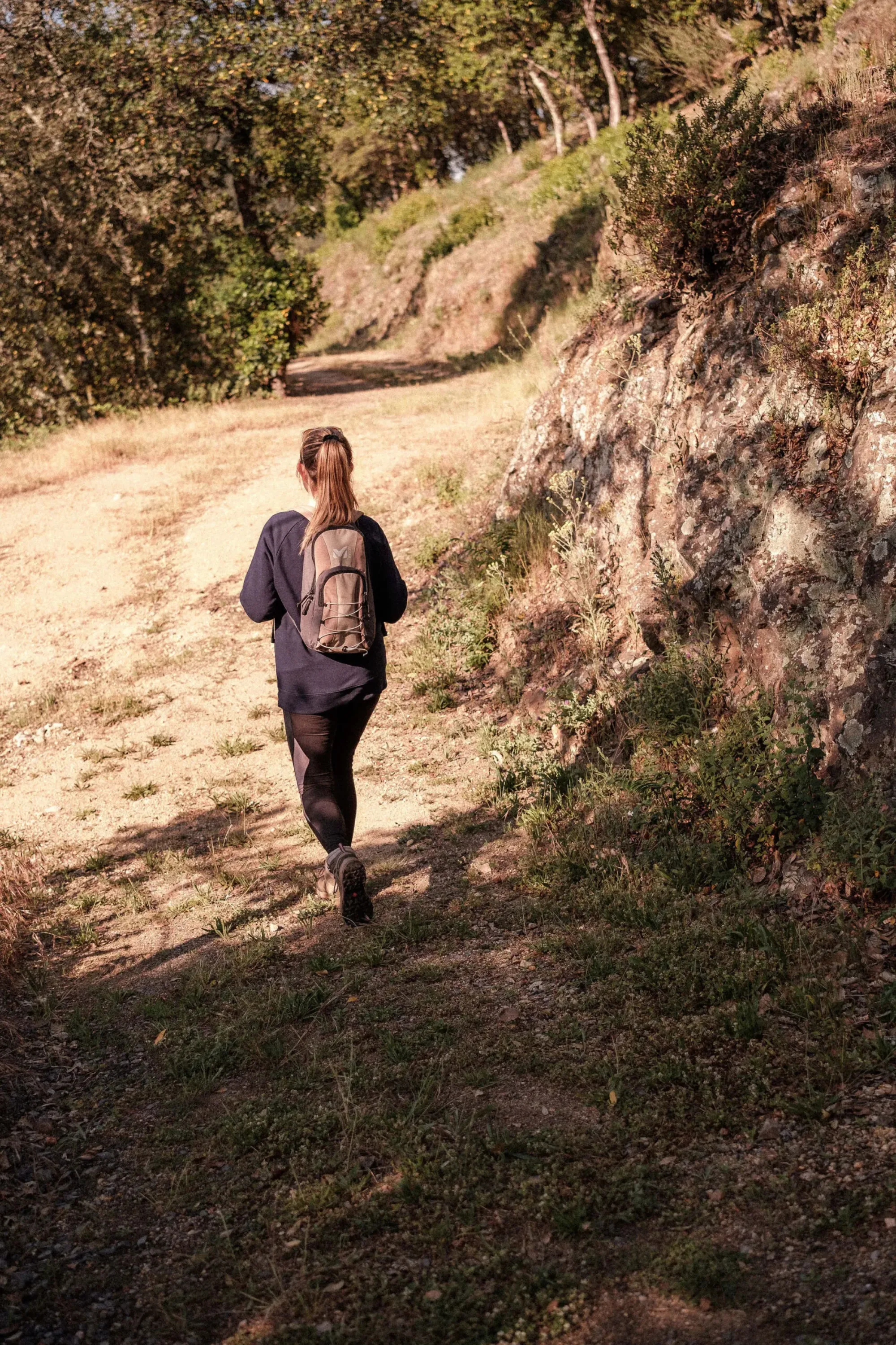 Parc national des Cévennes : nature sauvage et patrimoine préservé