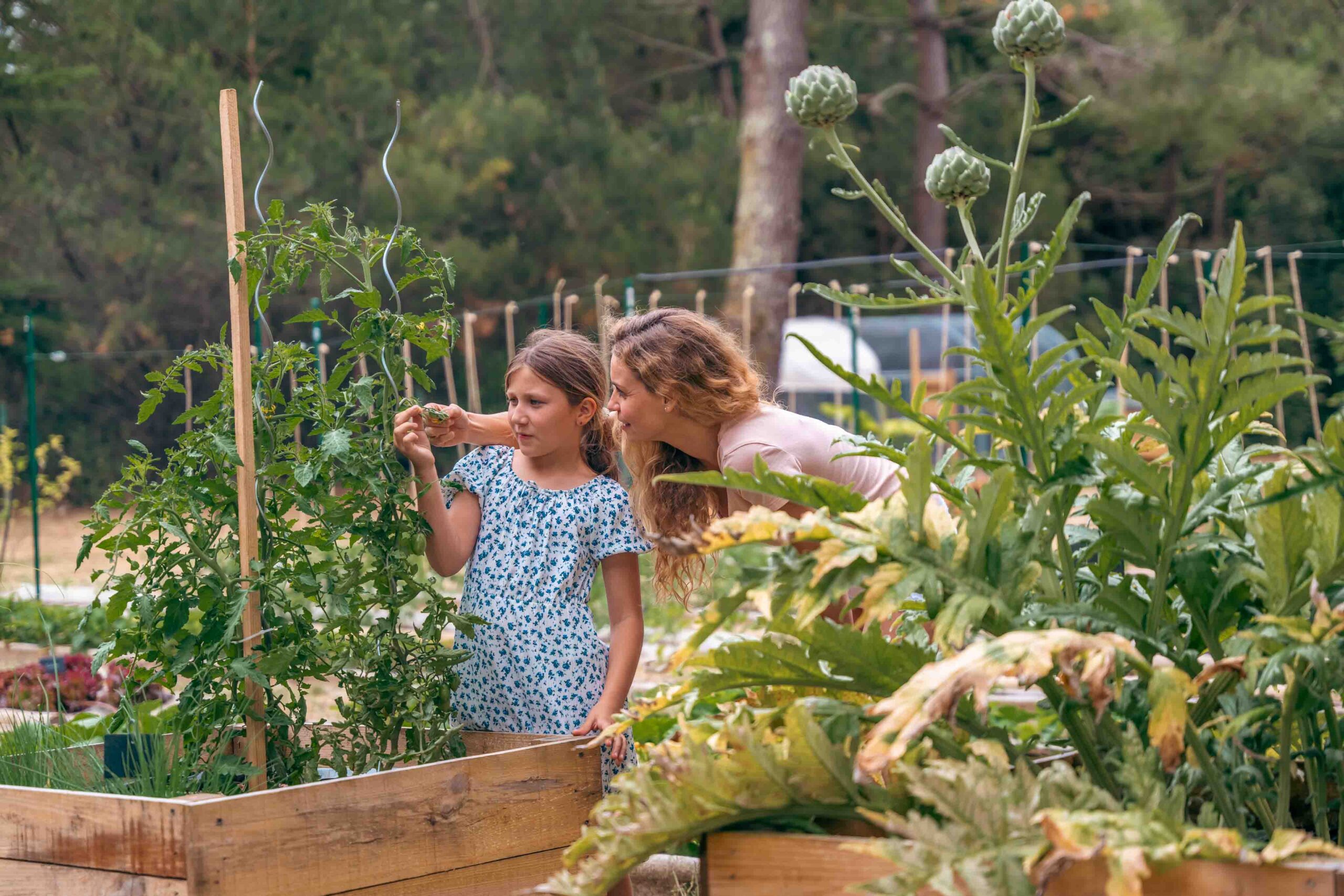Slow Life : Définition, principes et l'art de ralentir | Slow Village