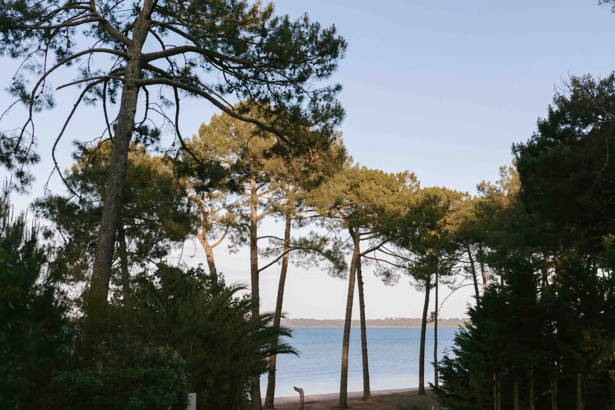 La plage du Vivier à Biscarrosse