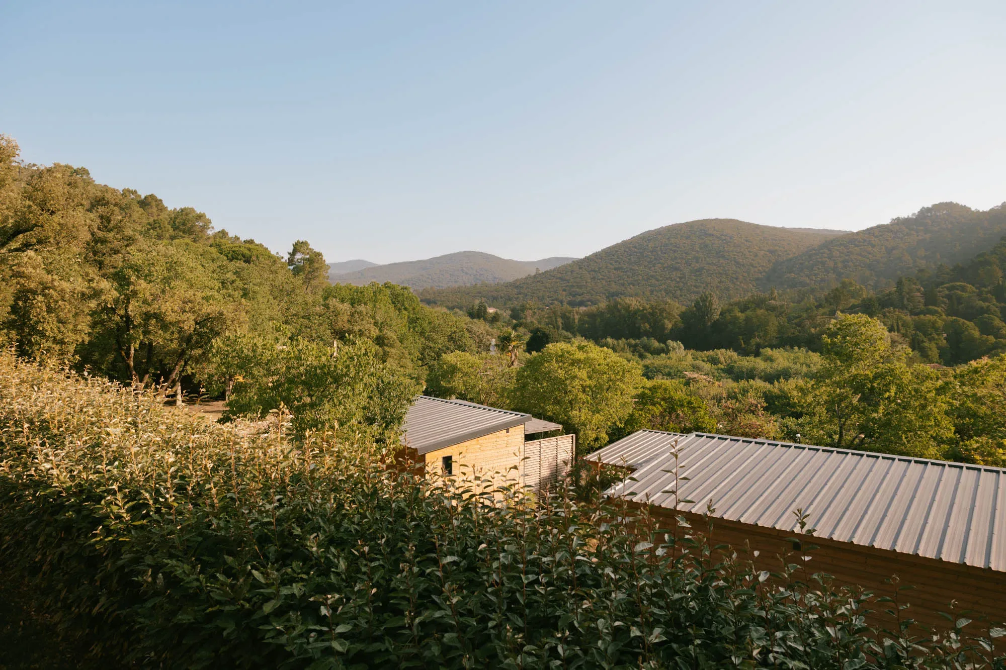 Anduze potters' market, an immersion in the art of clay
