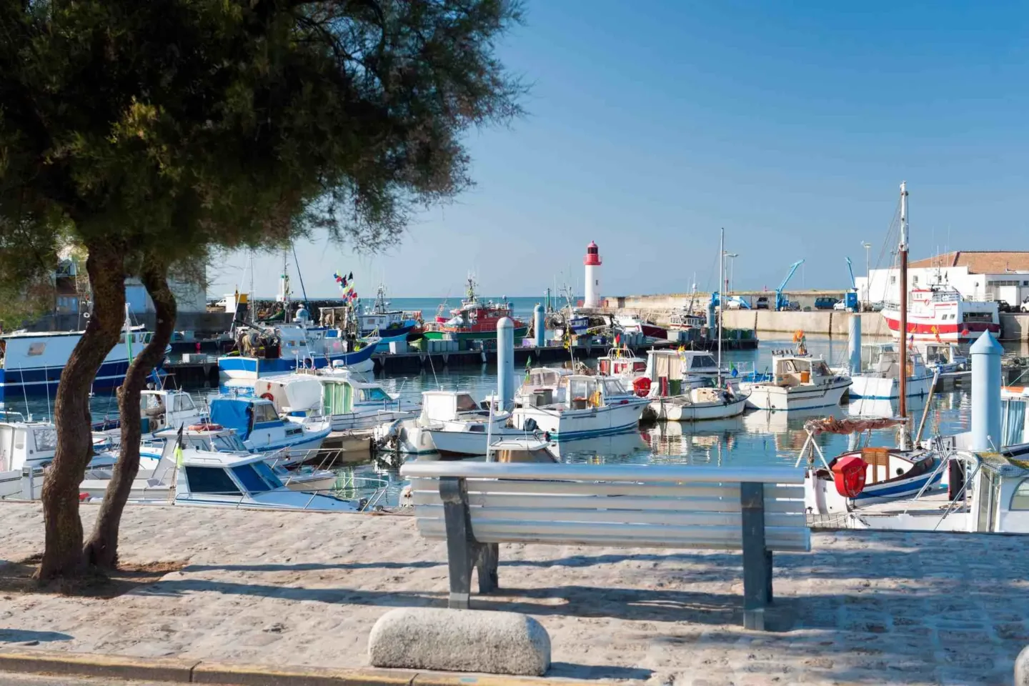 location bateau marennes