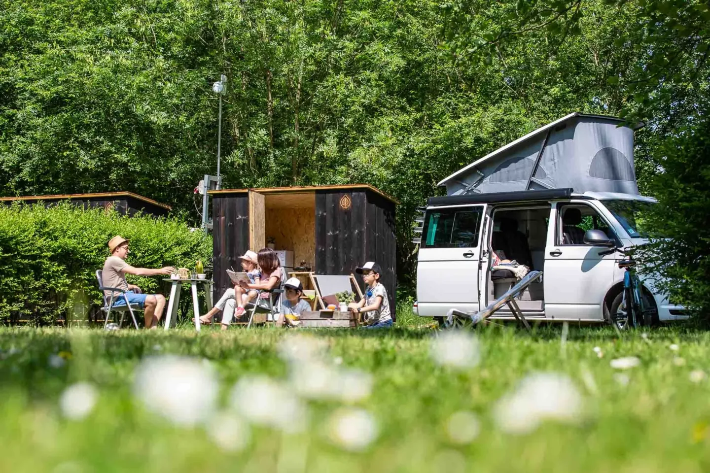 Tours à Bréhémont