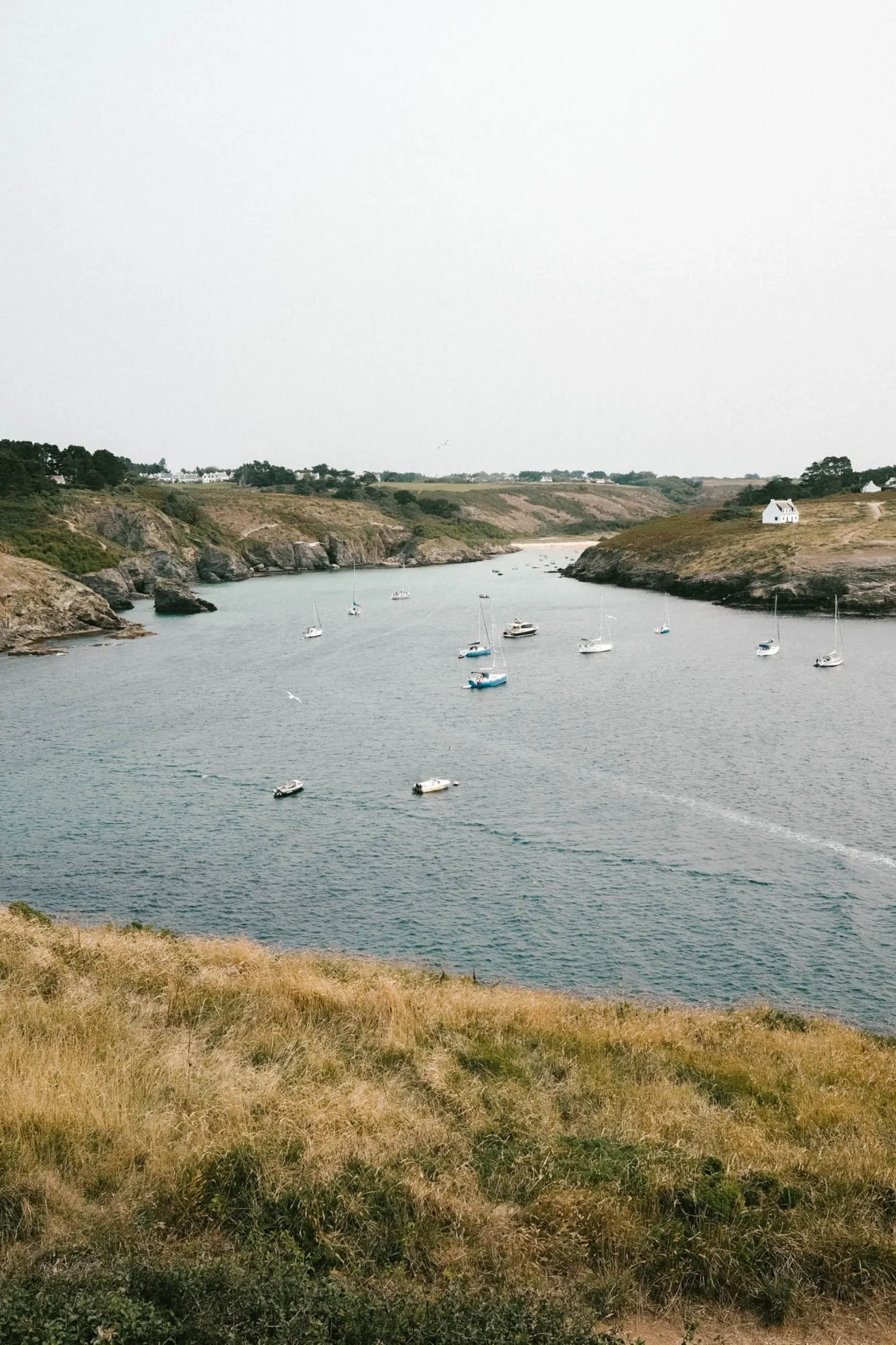 Explorer la côte sauvage de Belle-Île : randonnées et paysages bruts
