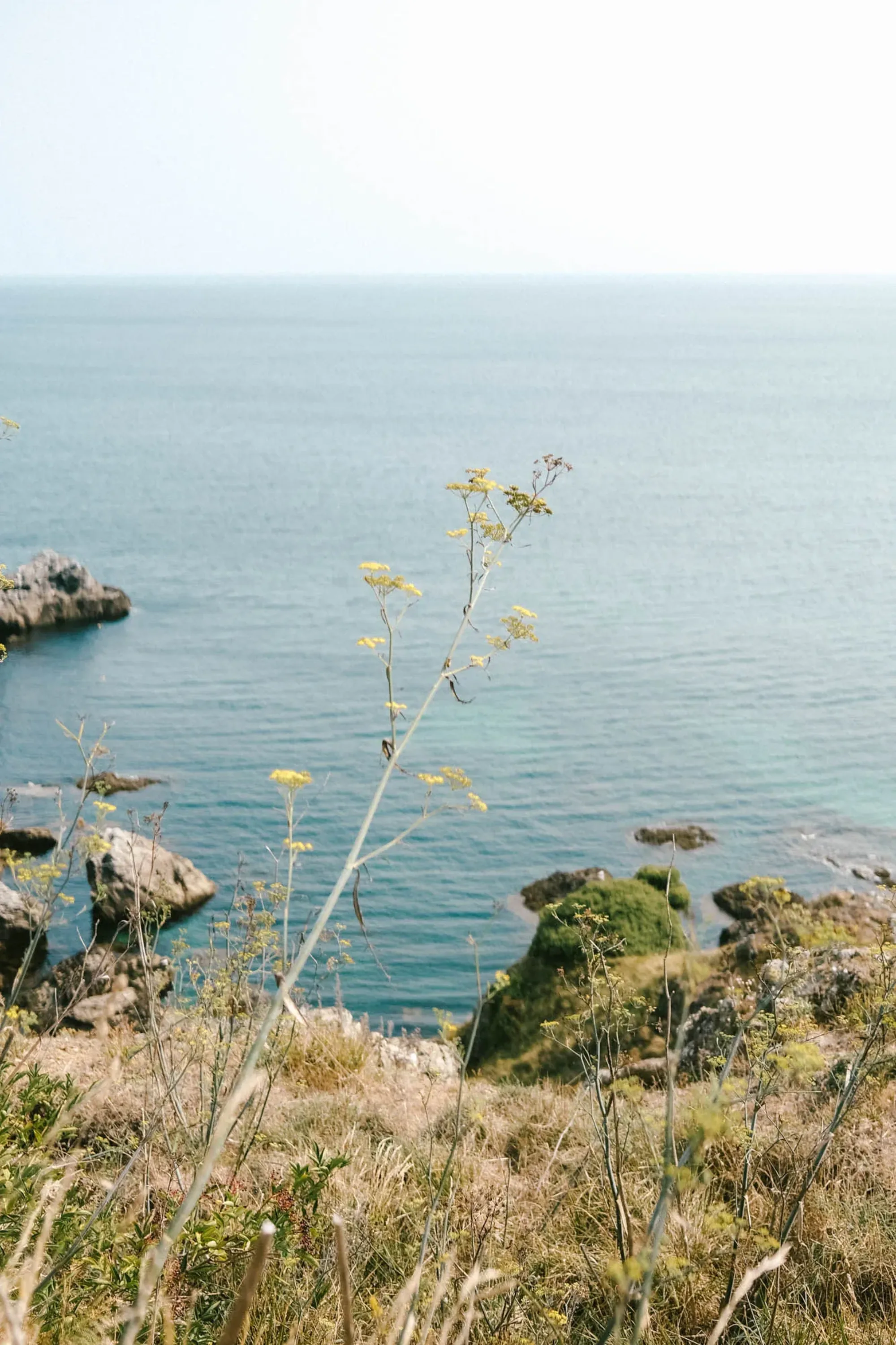 La plage de Donnant à Belle-Île : le guide complet entre surf et nature sauvage