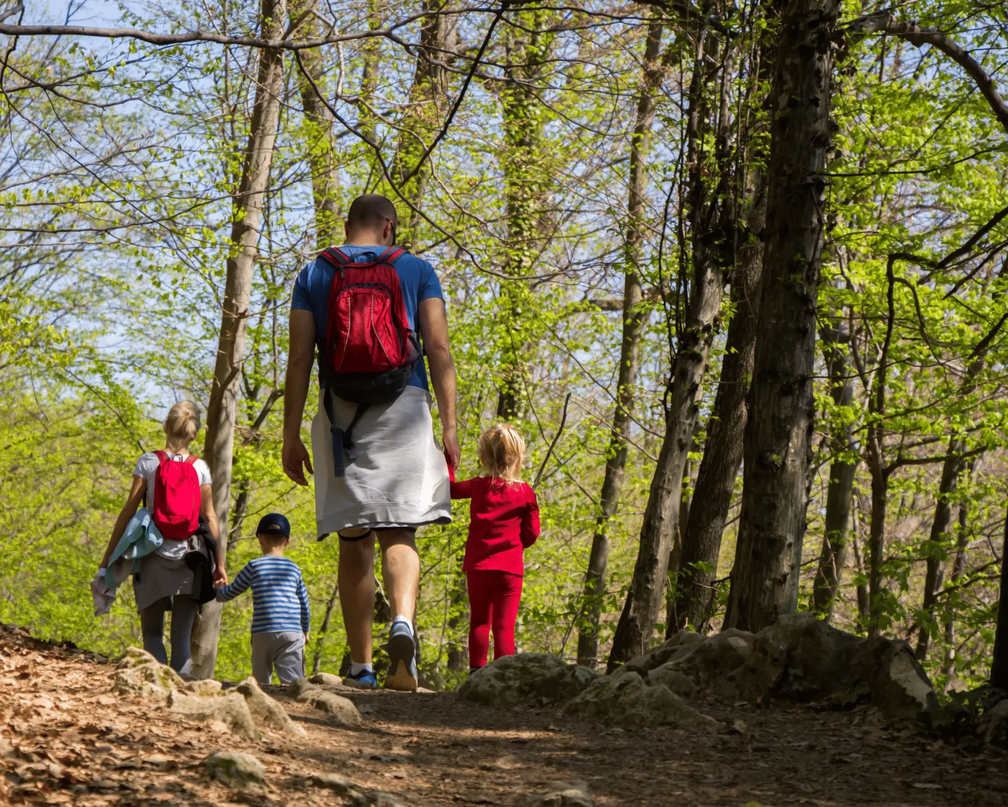 Randonnées à Sarlat : Explorer le Périgord Noir à votre rythme