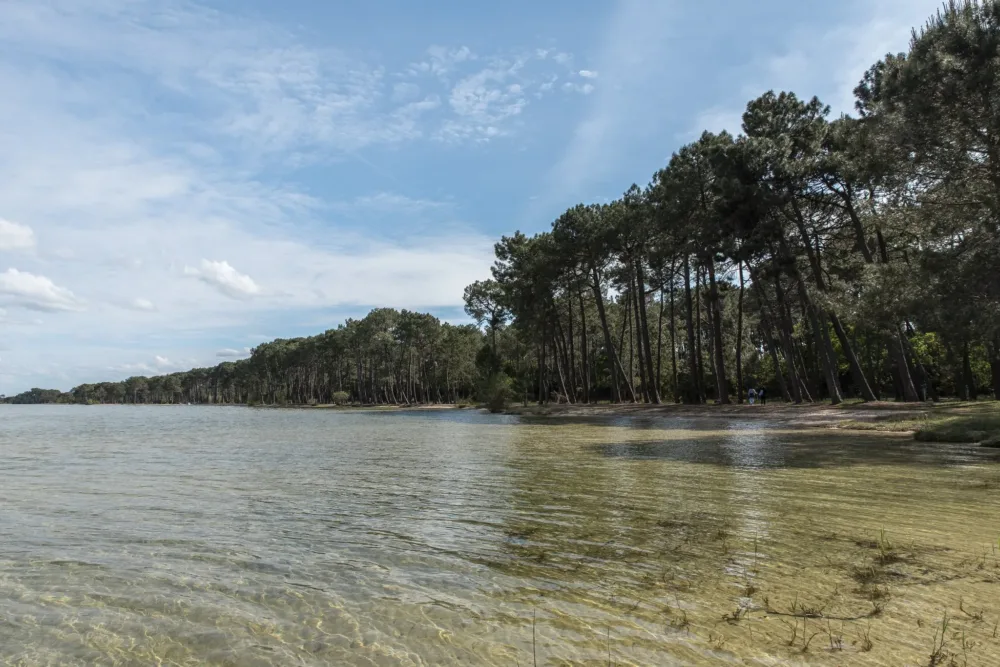Lac de Biscarrosse