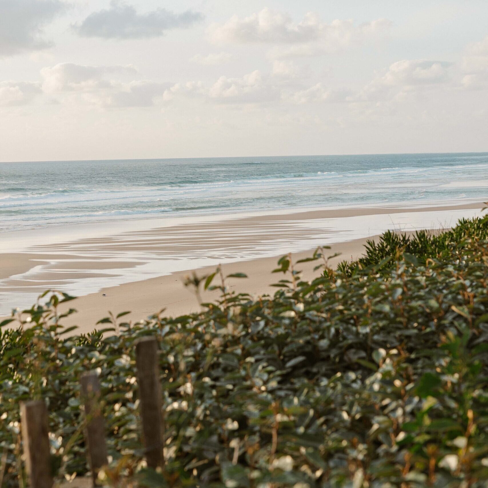 Beach in the Landes region in Biscarrosse