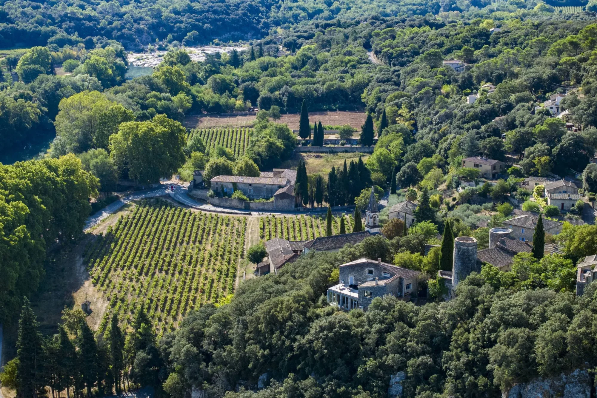 Wine Tourism in the Gard: A Guide to Vineyards, Tours, and Tastings