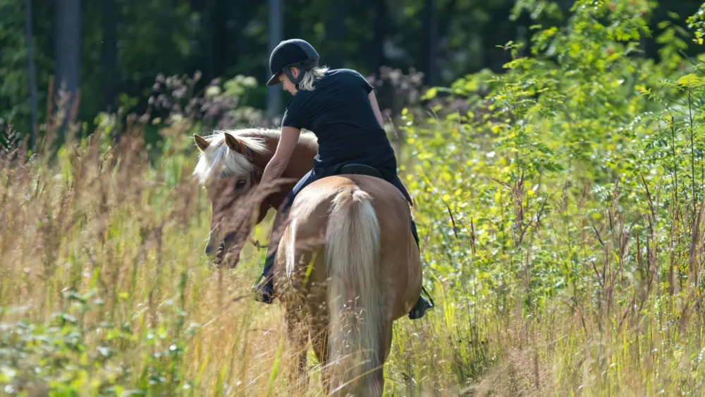 Horseback Riding