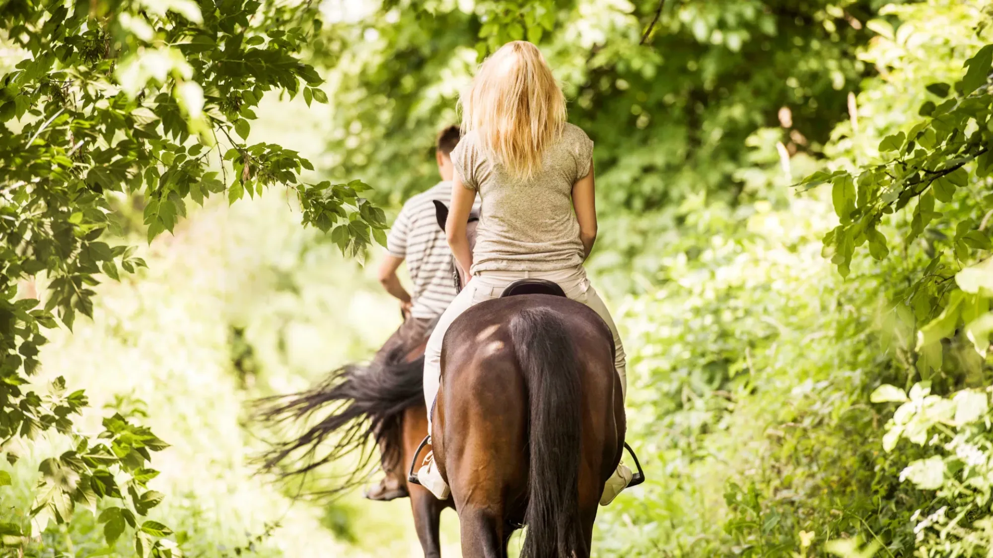 Horseback Riding in the Dordogne: Routes, Riding Centers, and Tips